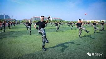 捕俘拳全套教学视频,捕俘拳全套教学视频精华解析